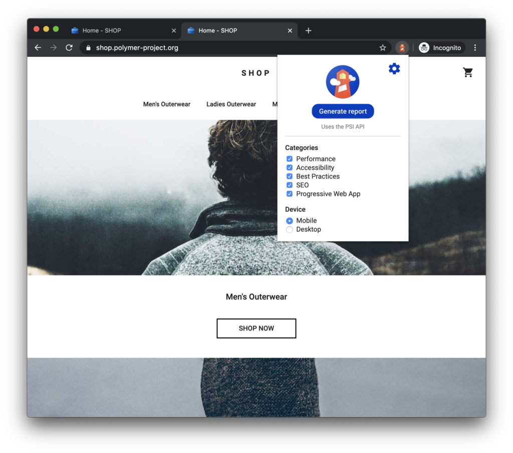 google-Lighthouse-extension