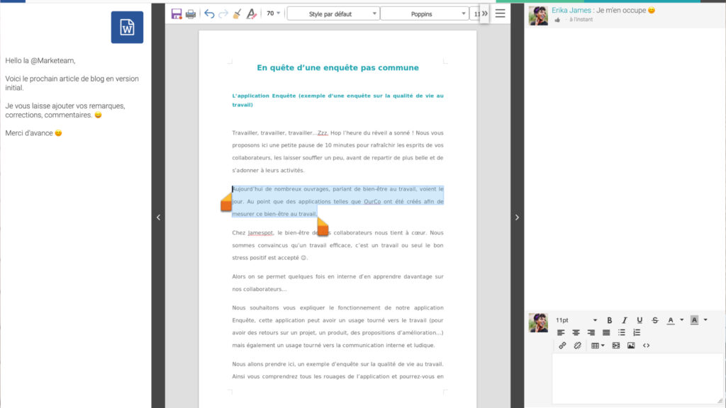 Capture N°5 – Edition en ligne