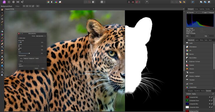 Illustration Affinity Photo
