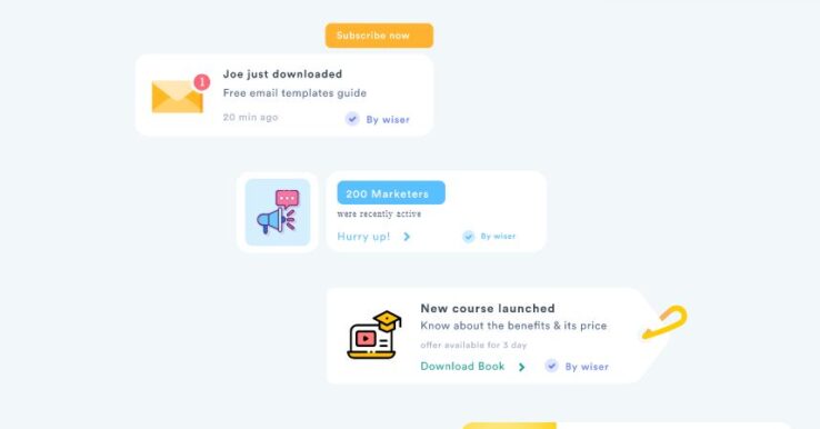 Illustration WiserNotify