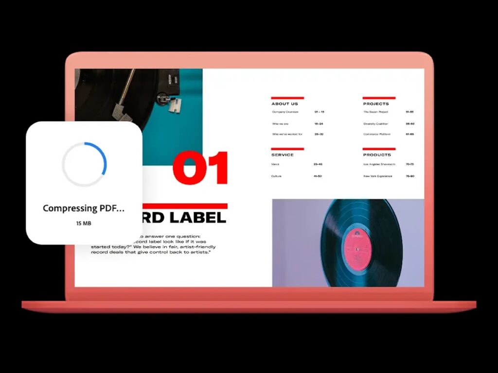 Adobe-Acrobat-interface2
