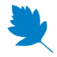 Logo Starleaf