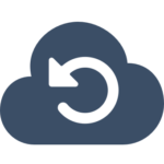 Logo Swiss Backup