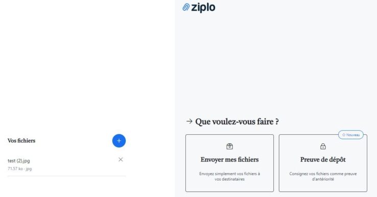Illustration Ziplo