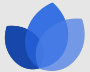 Logo Shapy