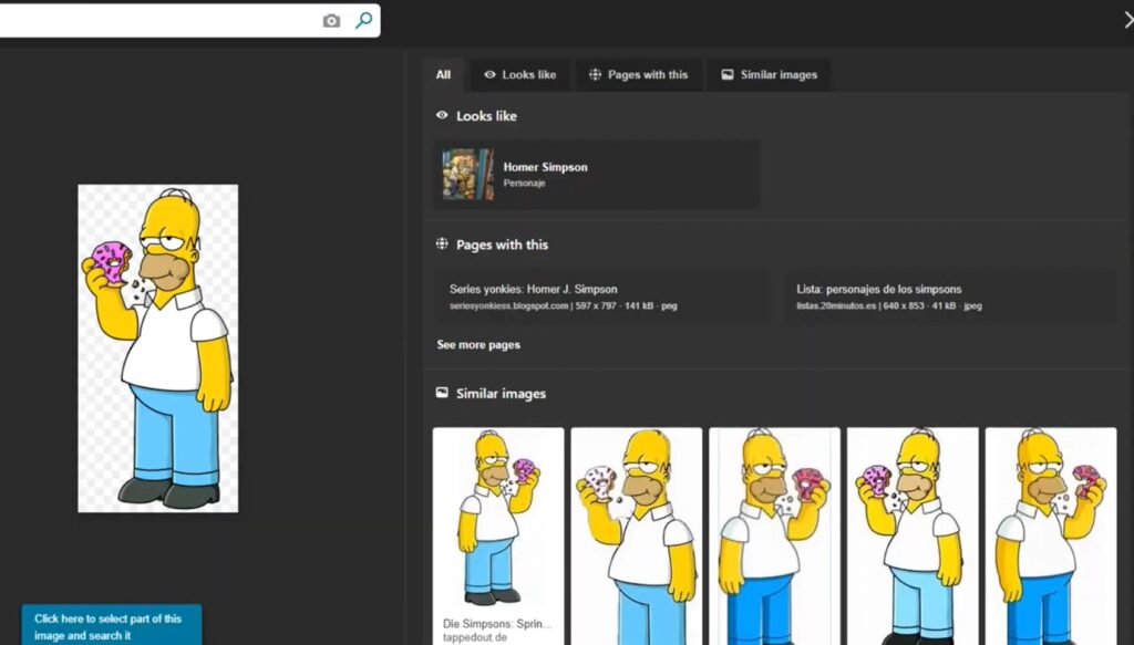 image-search-exemple