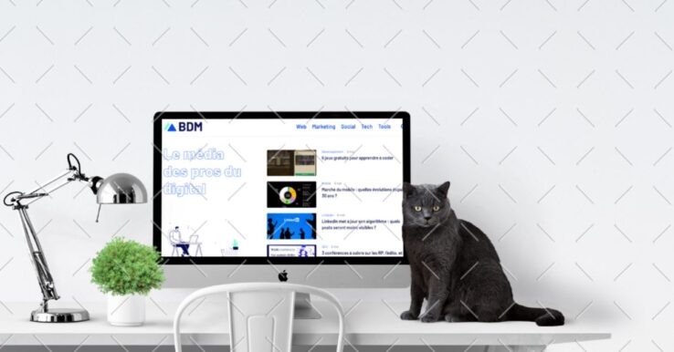 Illustration Mockup Editor