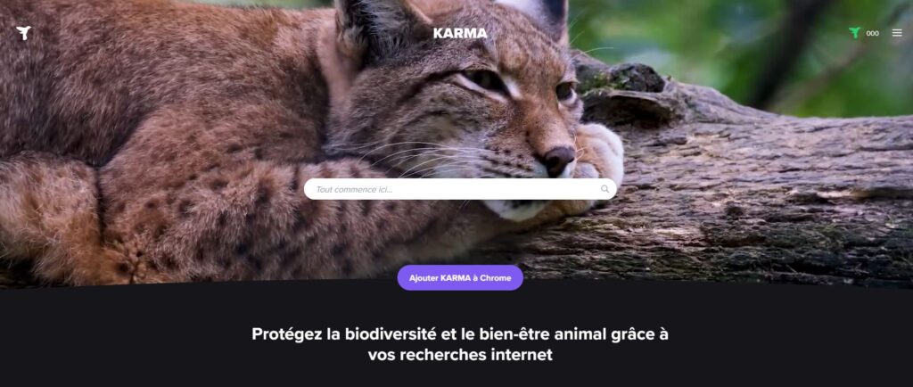 karma-search-interface