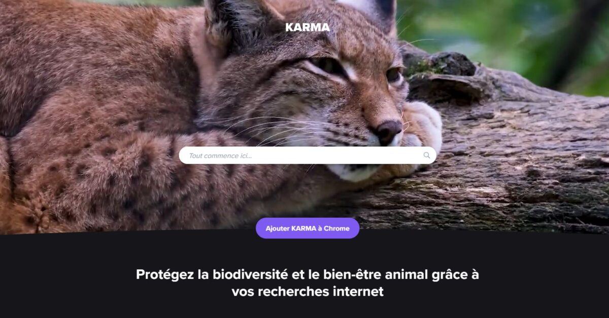 KARMA Search : un moteur de recherche engagé pour la protection de la biodiversité