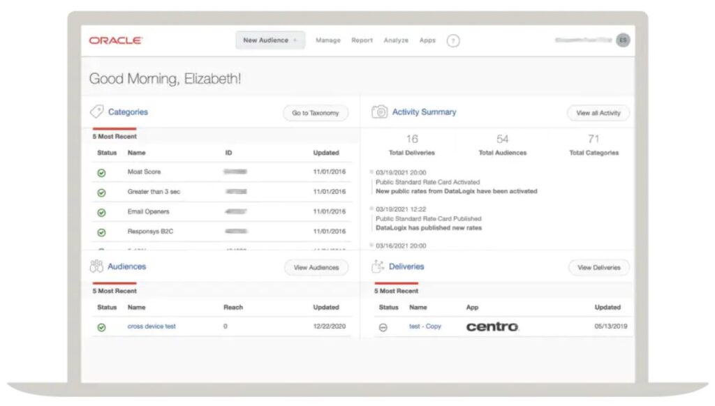 oracle-bluekai-outil-2