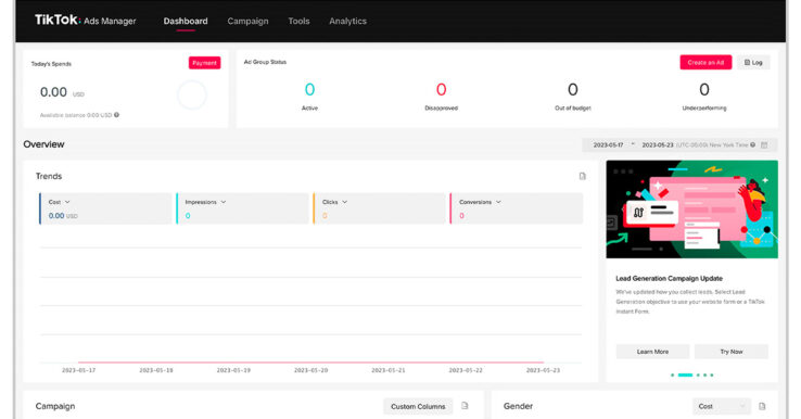 Illustration TikTok Ads Manager