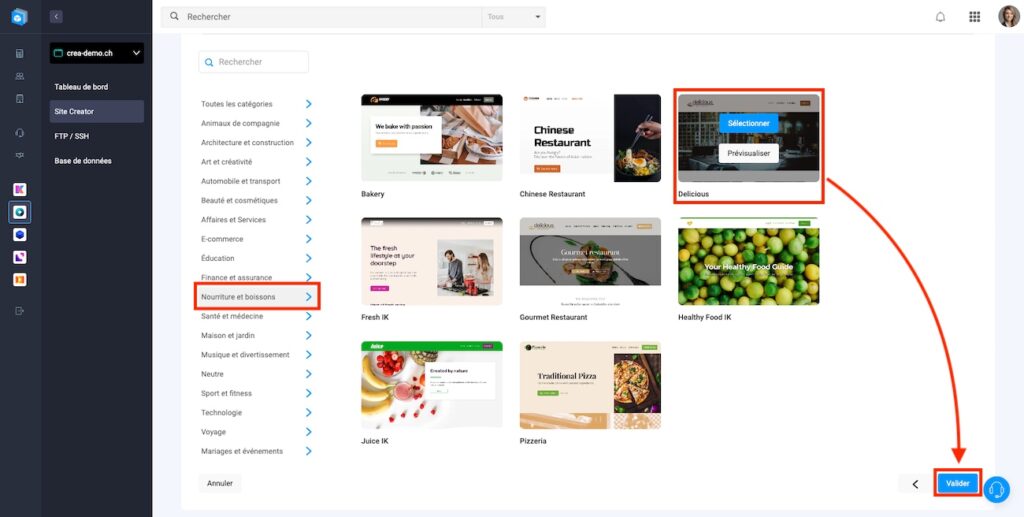 Choix du template du site web.