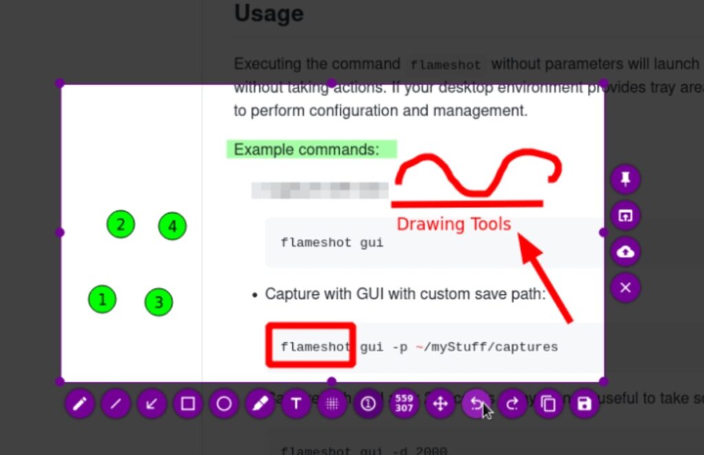 flameshot interface 5