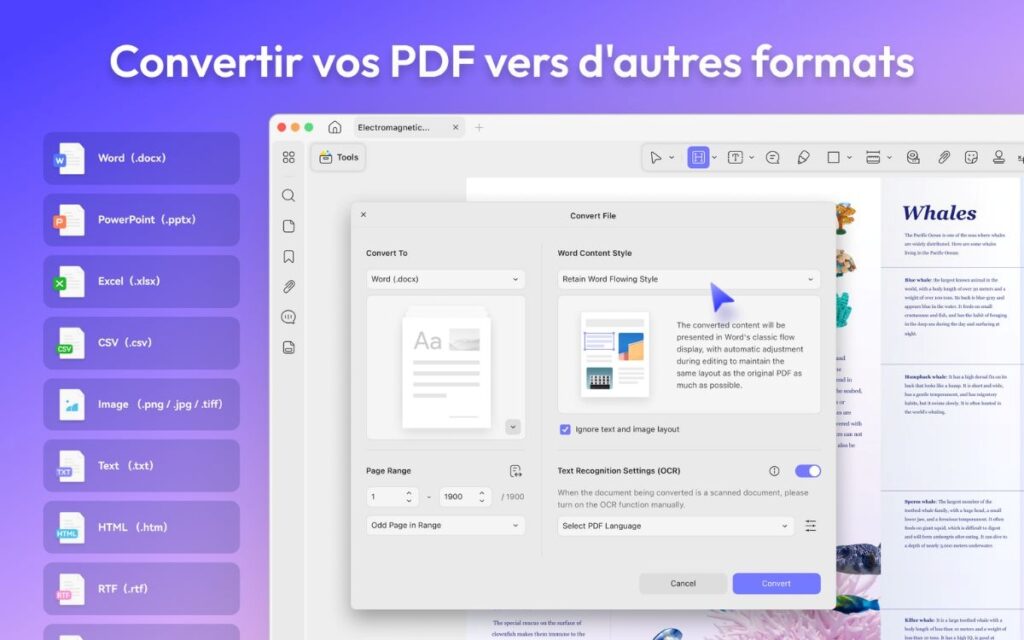Interface – UPDF – 4