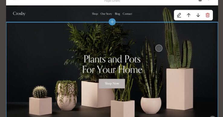 Illustration Squarespace