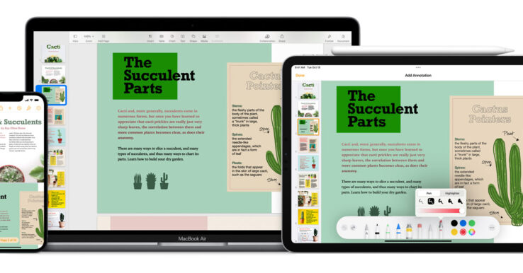 Illustration Pages