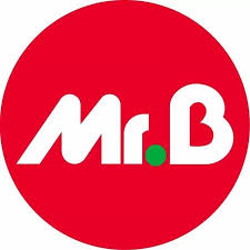 Logo Mr.Bricolage
