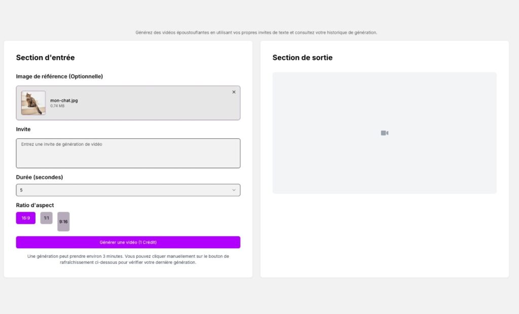 Wan Interface
