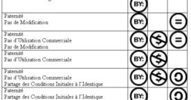 FlickR dépasse les 100 millions de photos libres de droits