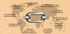 Infographie SEO