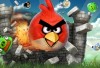 angry birds