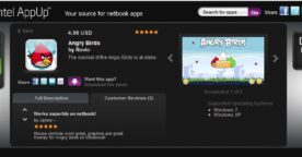 Angry Birds sur PC !