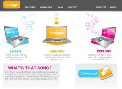 audiggle