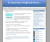 blog experience