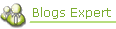blogexperts