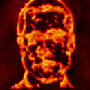 brad fire