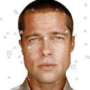 brad neige