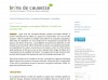 community manager