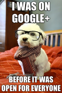 chien_google_plus.PNG
