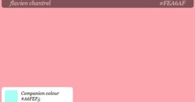 Découvrir sa couleur avec Colourism