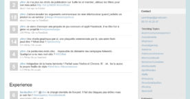 Un CV Twitter, première initiative de CV du jour
