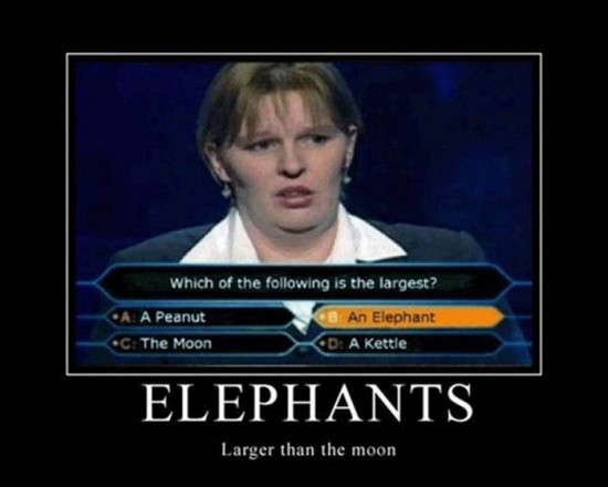 Dem3 Elephants