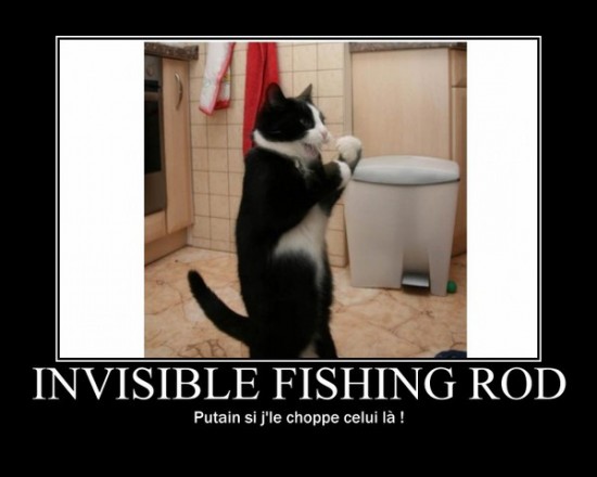 Demotivationalsecteursud Invisible Fishing