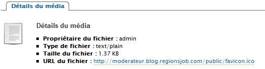 details favicon