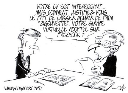 emploi réseaux sociaux