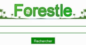 Faites des recherches, sauvez la forêt