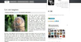 Blogday 2009 : ma sélection