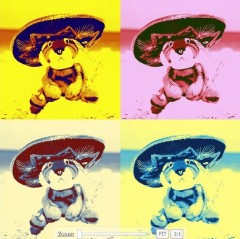 ipiccy.JPG