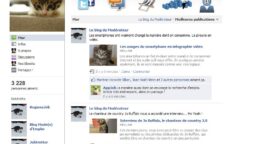 Mettez des chats dans votre Internet