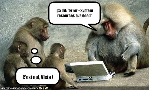 lolcats singes