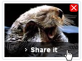 loutre