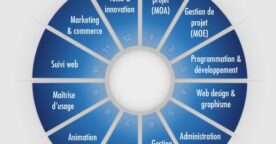 Hadopi 2 : de peer en peer