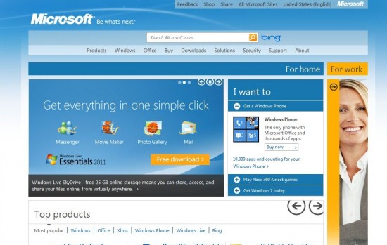 microsoft.JPG