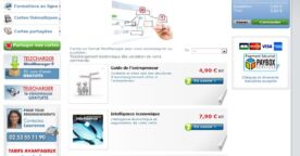 Human Mapping, outils et place de marché pour le Mind Mapping