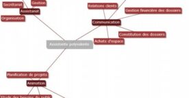 text2mindmap : cartographier ses compétences professionnelles