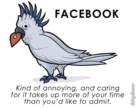 parodie facebook